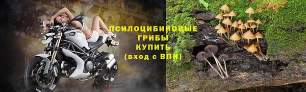 хмурый Алексеевка
