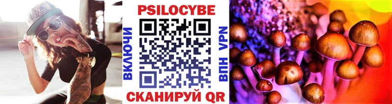 ОМГ ОМГ маркетплейс  Пласт  Псилоцибиновые грибы Cubensis  наркота 